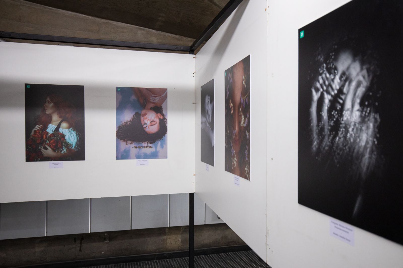 Découvrez des photographies captivantes exposées lors d'une exposition d'art contemporain.